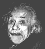 animerad albert.gif (38022 bytes)