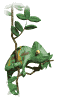 kameljont.gif (6241 bytes)