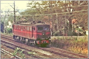 4415.jpg