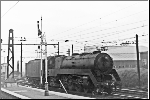 Batlow 4843.jpg