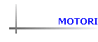MOTORI