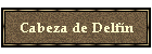 Cabeza de Delf�n