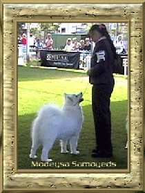 1st place Sydney Royal 05