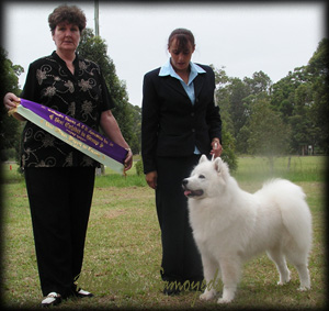 Best In Group