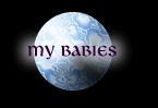 These are my babies! They are my children...Excluding hubby of course!&nbsp; He is my Baby in another way!
