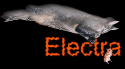 Electra