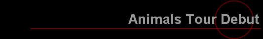 Animals Tour Debut