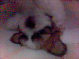 At 1 mth, i luv sleeping upside down.