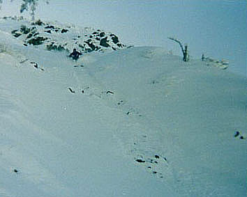 Cliff de poudreuse � Snowbird
