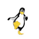 Penguin dance