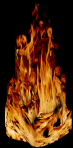 Living Fire Sculpture