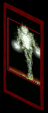 An image from the online comic The Gifted.