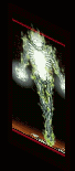 The same as the previous image, smaller crop.