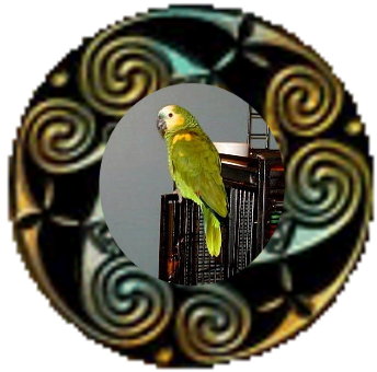 Double click on pic to go to our Picture Trail