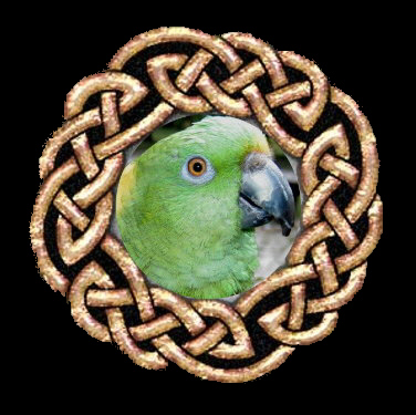 Double click on pic to go to our Picture Trail