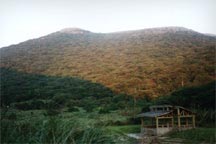 Little Hut: Yang Ming Shan