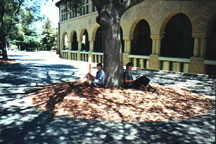 hehe me & rob under a tree after psychology final! pics for memory!