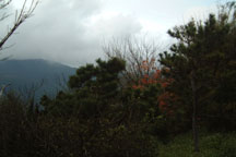 grandma looking out the window as we head towards tan shui~