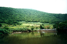 a scene from yang ming shan~