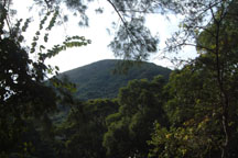 a hill scene, victoria peak