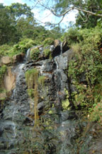 waterfall at the peak