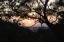 the sun.. at eye level.. last pic of the day~