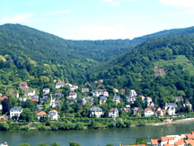 more picture of the rhine valley, geeez jealous, trees, river, blue sky!!