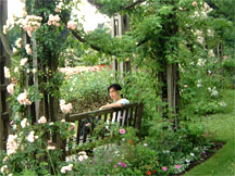 hehe a walk through the regent park~ dis de gardena area~