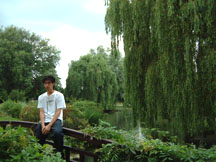 every city should have a huge park in the middle