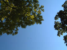 blue sky...