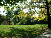 green outside more dorm~