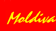 Comunitatea Feminina din Moldova