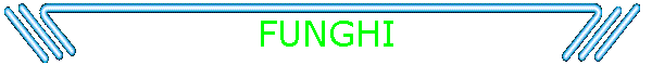 FUNGHI