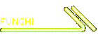 FUNGHI