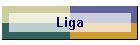 Liga