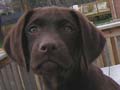 Hi! My name is Aero.