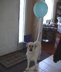 2003/04/27