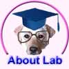 About Lab