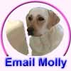 Email Molly