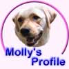 Molly's Profile