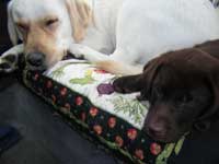 Take a nap again.