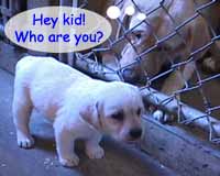 I want my mummy!