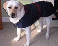 A new rain coat.