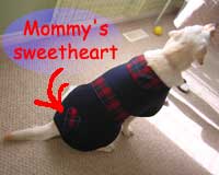 Sweetheart!