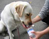 So thirsty.