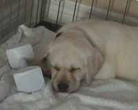 nap