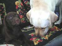 Why are you following us?