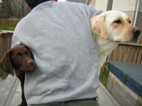 Intruder!