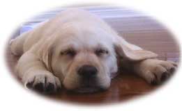 ZZZ