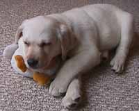 nap